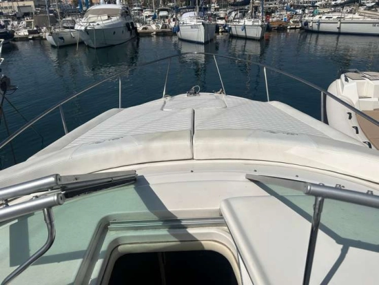 Sea Ray Sundancer 315 usata in vendita