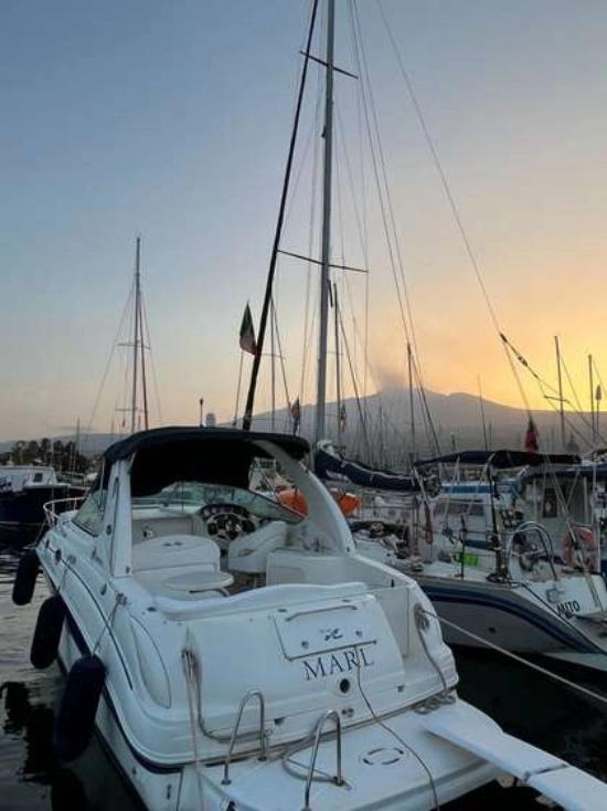 Sea Ray Sundancer 315 usata in vendita