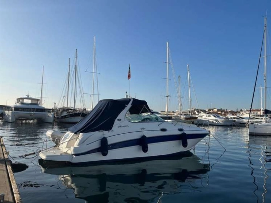 Sea Ray Sundancer 315 usata in vendita