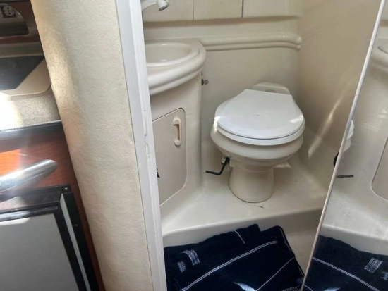 Sea Ray Sundancer 315 usata in vendita