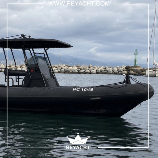 RAYGLASS PROTECTOR 310 CHASE PROTECTOR 310 CHASE usata in vendita