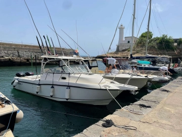 Boston Whaler CONQUEST 285 de segunda mano en venta