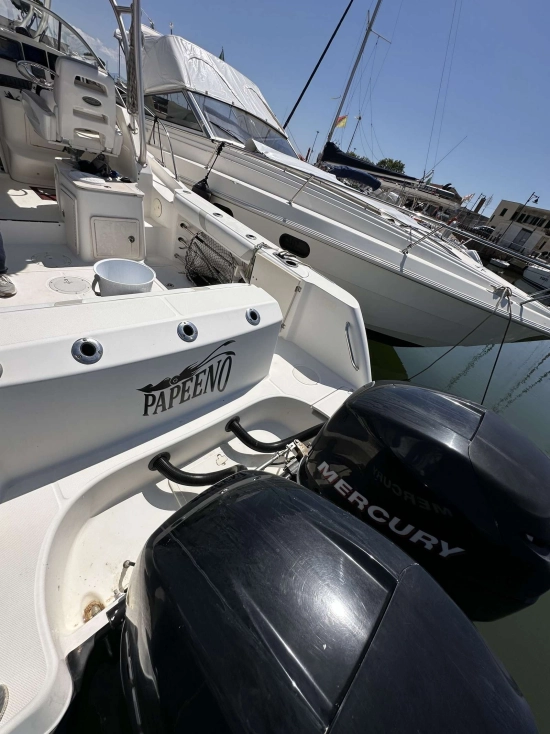 Boston Whaler CONQUEST 285 usado à venda