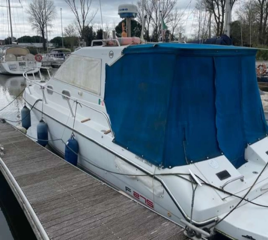 ZANIBONI F275 de segunda mano en venta