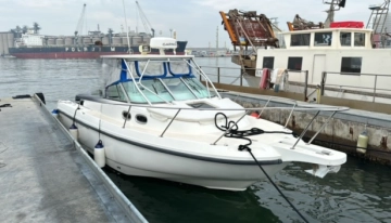 Boston Whaler CONQUEST 285 usata in vendita