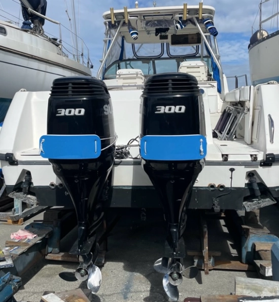 Boston Whaler CONQUEST 285 de segunda mano en venta