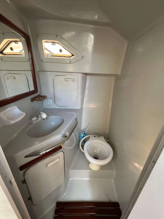 Sea Ray Sundancer 290 usata in vendita
