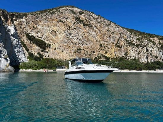 Sea Ray Sundancer 290 usata in vendita
