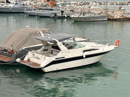 Sea Ray Sundancer 290 usata in vendita