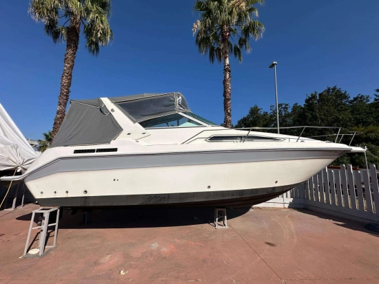 Sea Ray Sundancer 290 usata in vendita