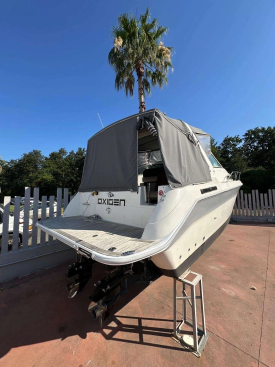 Sea Ray Sundancer 290 usata in vendita