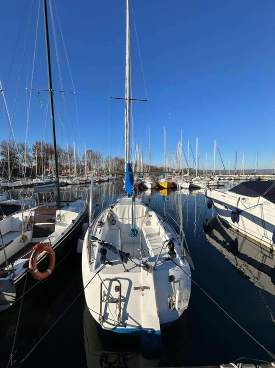 CBS NAUTICA CBS 750 PIVIERE usata in vendita