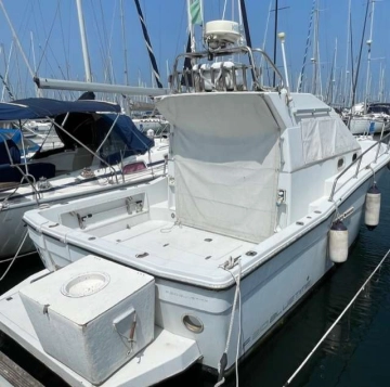 ZANIBONI F310 BLUETIME usata in vendita