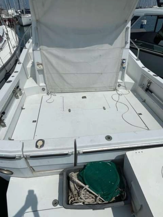 ZANIBONI F310 BLUETIME usado à venda