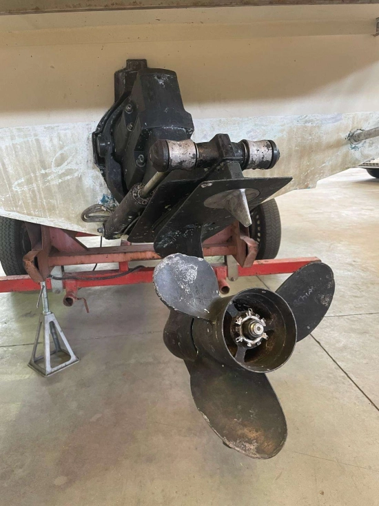 CIGALA E BERTINETTI SURFER 600V usado à venda