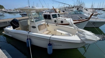 SCOUT BOAT 245 XSF usata in vendita