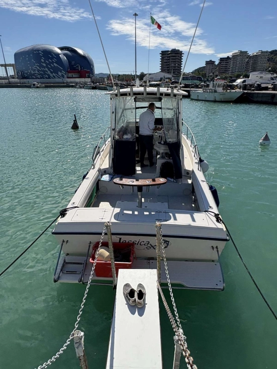 Grady White 25 SAILFISH usata in vendita