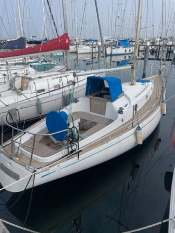 Alpa Canteri 950 usata in vendita