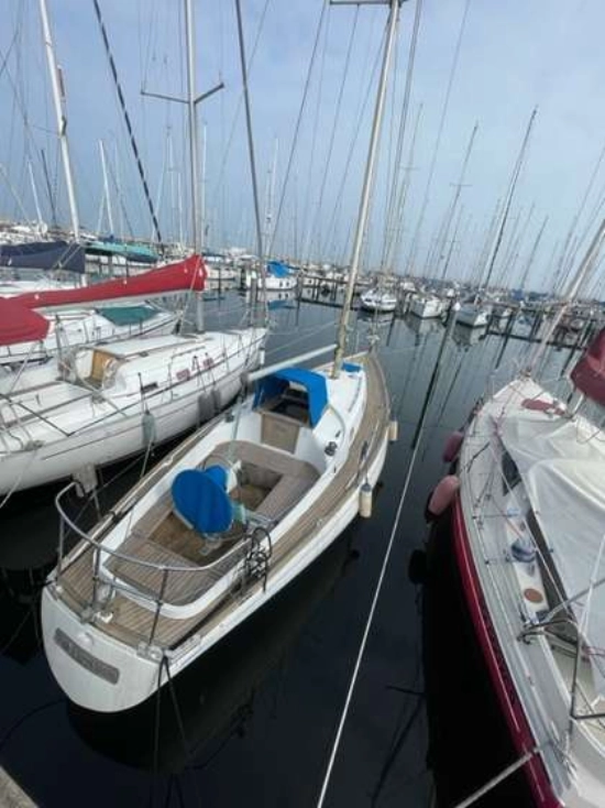 Alpa Canteri 950 de segunda mano en venta