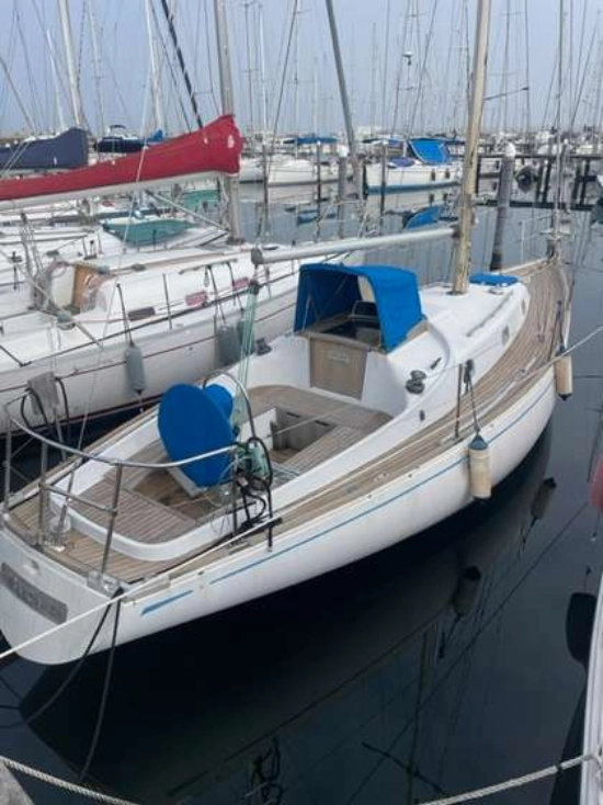 Alpa Canteri 950 de segunda mano en venta