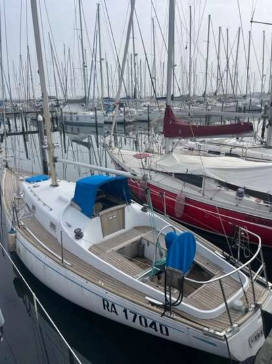 Alpa Canteri 950 de segunda mano en venta