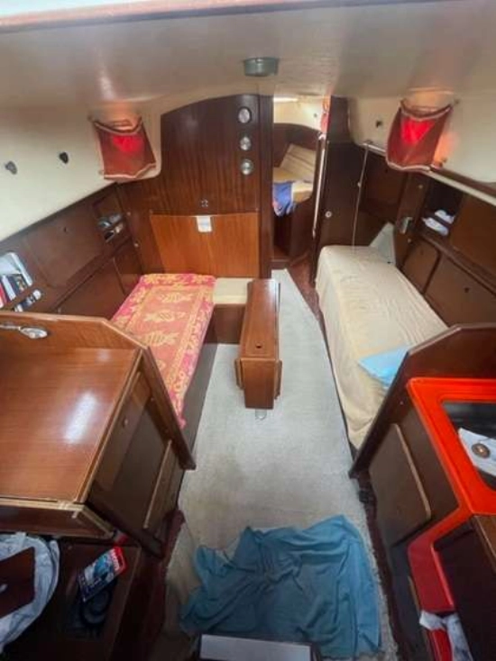 Alpa Canteri 950 de segunda mano en venta