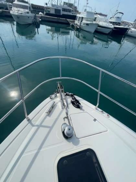 Carnevali 145 usado à venda