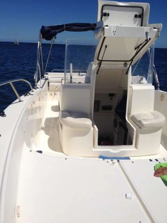 White Shark 285 usata in vendita