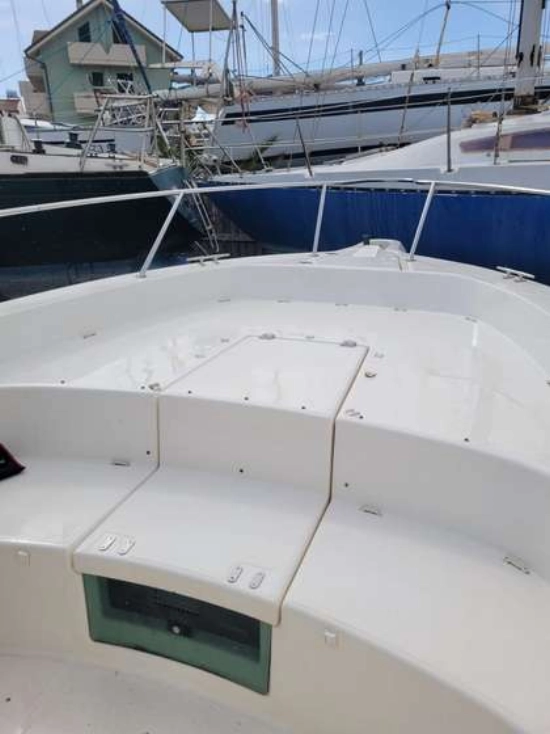 White Shark 285 usata in vendita