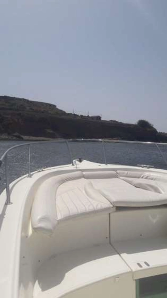 White Shark 285 usata in vendita