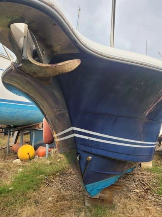 White Shark 285 usata in vendita