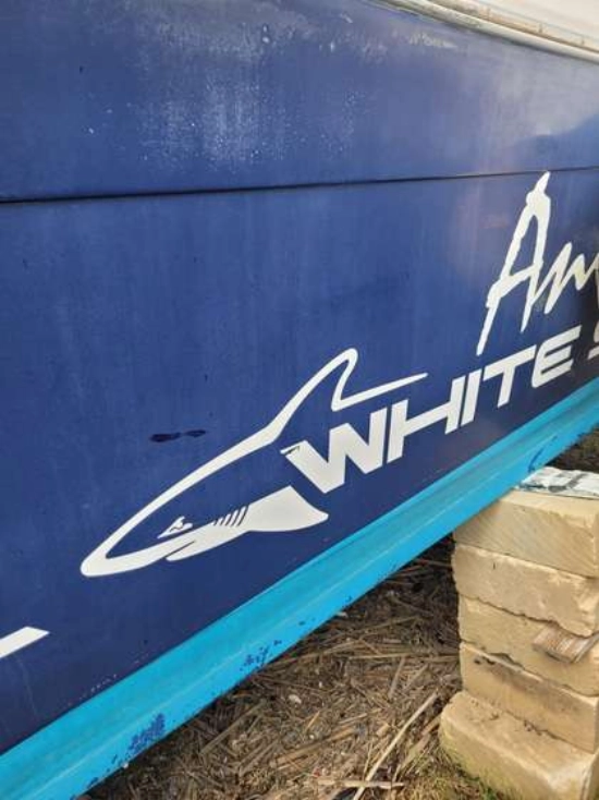 White Shark 285 usata in vendita