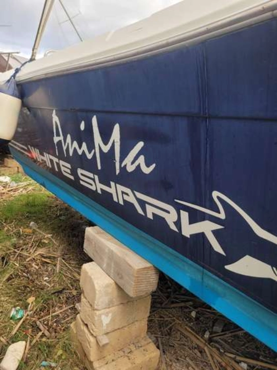 White Shark 285 usata in vendita