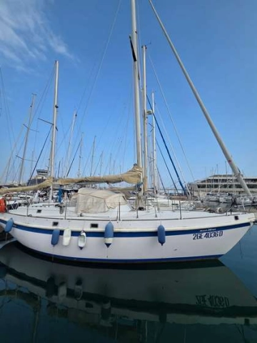 DULLIA 38 usata in vendita