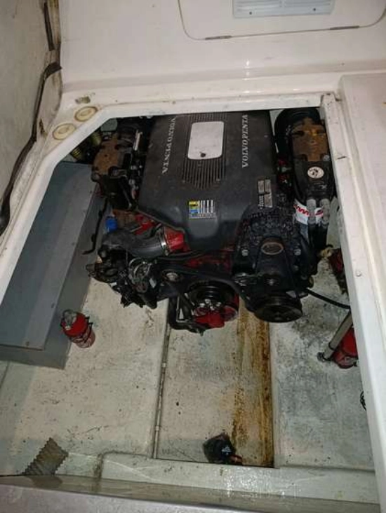 Sealine 290 usado à venda