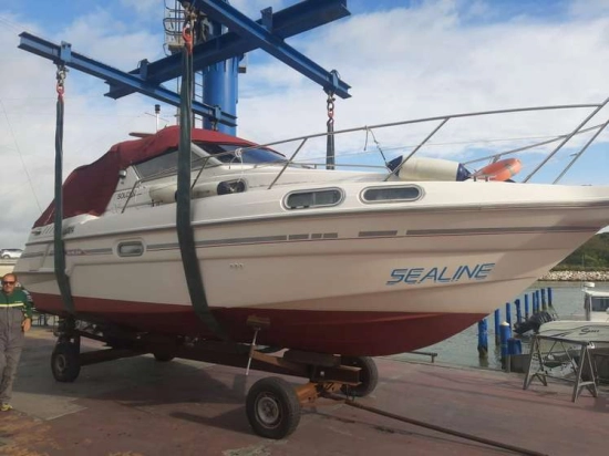 Sealine 290 usado à venda