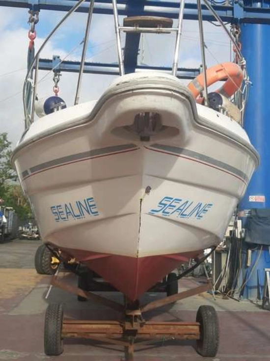 Sealine 290 usado à venda