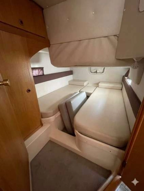 Sealine 290 usado à venda