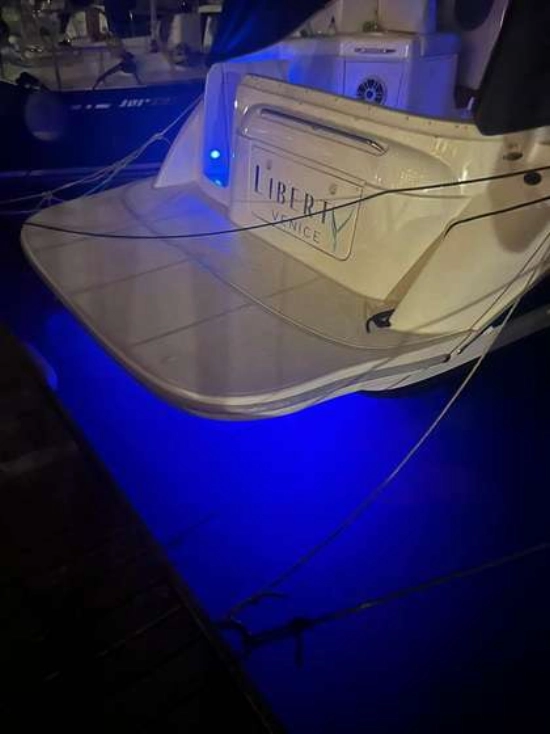 Bayliner 305 de segunda mano en venta
