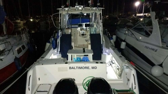 Grady White MARLIN 300 usata in vendita