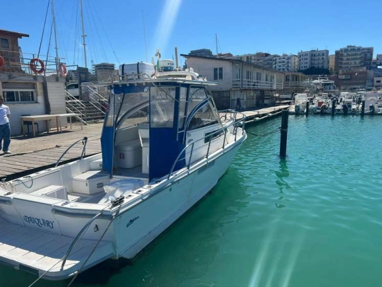 POLY FORM TRIAKIS 29 C usado à venda
