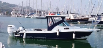CHRIS CRAFT SEA HAWK 21 CRAFT SEA HAWK 21 usata in vendita