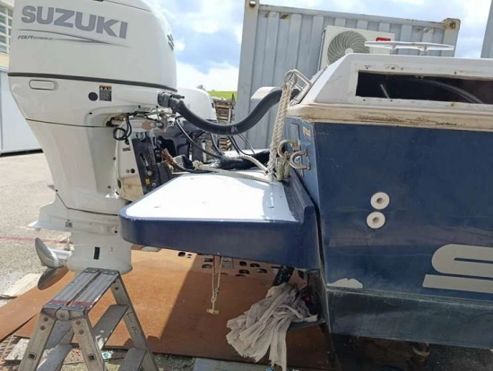 CHRIS CRAFT SEA HAWK 21 CRAFT SEA HAWK 21 usata in vendita