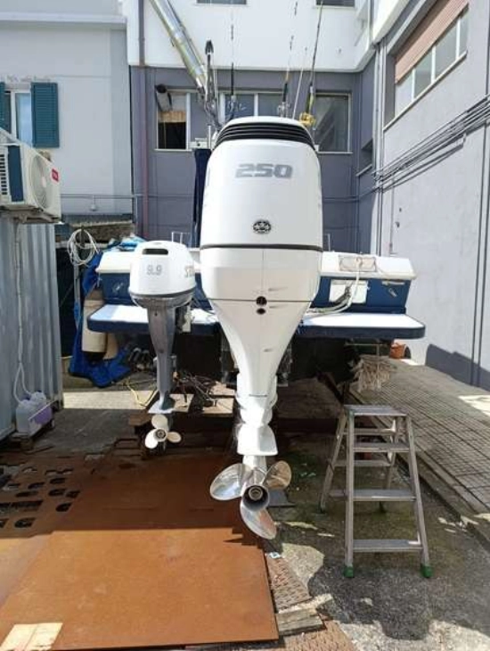 CHRIS CRAFT SEA HAWK 21 CRAFT SEA HAWK 21 usata in vendita