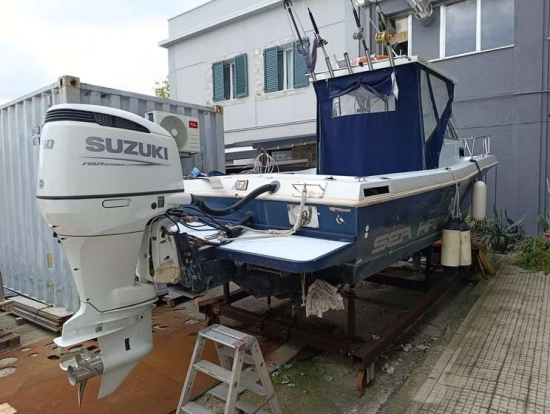 CHRIS CRAFT SEA HAWK 21 CRAFT SEA HAWK 21 usata in vendita