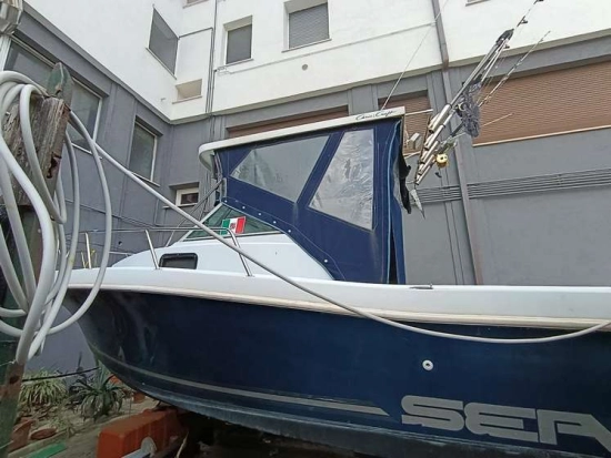 CHRIS CRAFT SEA HAWK 21 CRAFT SEA HAWK 21 usata in vendita