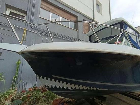 CHRIS CRAFT SEA HAWK 21 CRAFT SEA HAWK 21 usata in vendita
