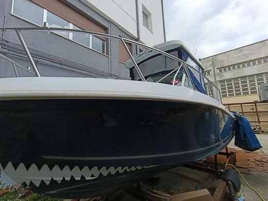 CHRIS CRAFT SEA HAWK 21 CRAFT SEA HAWK 21 usata in vendita