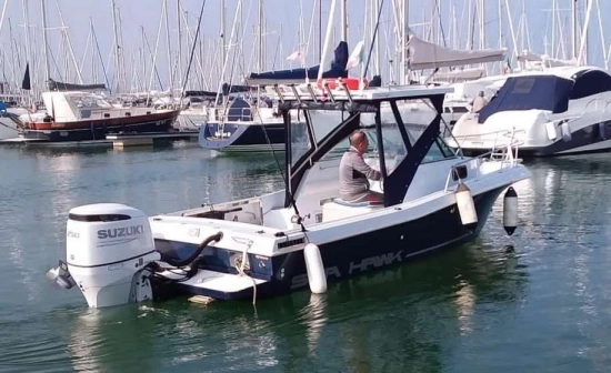 CHRIS CRAFT SEA HAWK 21 CRAFT SEA HAWK 21 usata in vendita