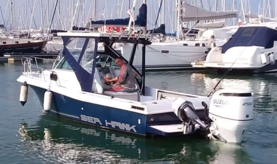CHRIS CRAFT SEA HAWK 21 CRAFT SEA HAWK 21 usata in vendita